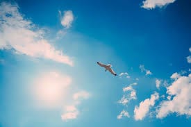 pourquoi le ciel est bleu