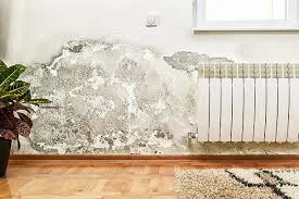humidité maison